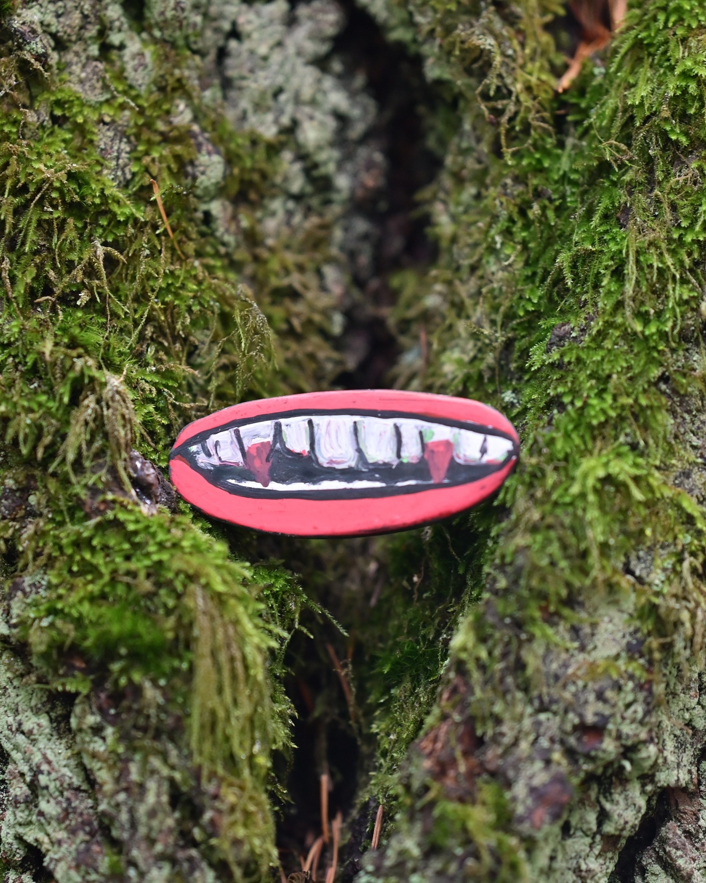 Binding rocks around the park. I love this time of year.