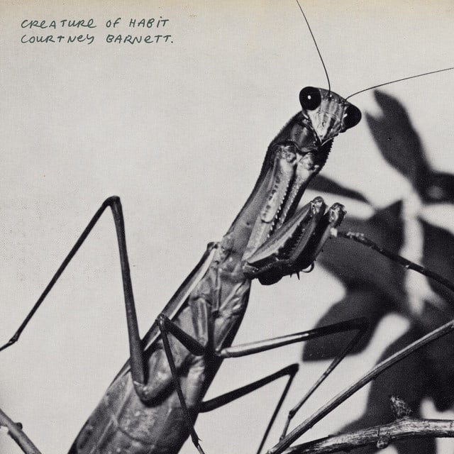 Creature of Habit by Courtney Barnett
