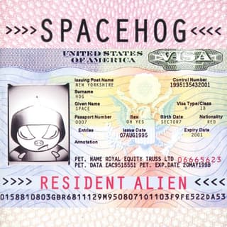 In the Meantime by Spacehog